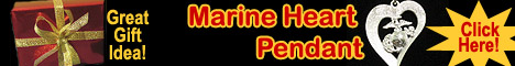 This image is a link to information, announcements, care package sponsors or paid advertisement.