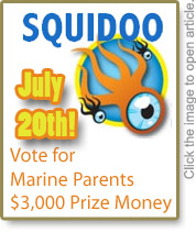 Squidoo