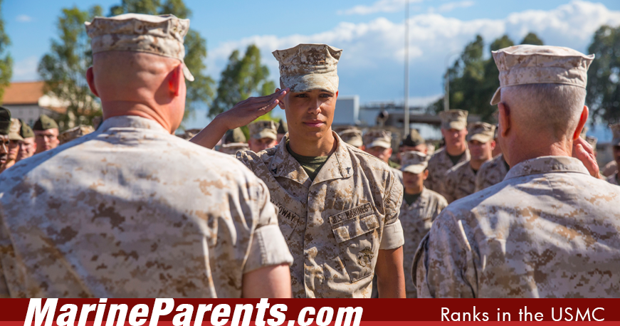 Marine Corps Enlisted Rank Insignia Chart