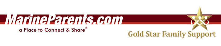 Gold Star Family Support Newsletter Banner
