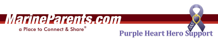 Purple Heart Hero Support Newsletter Banner