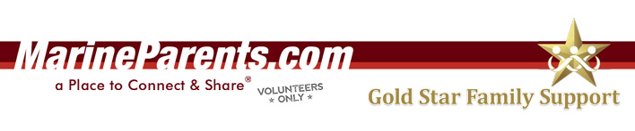 Gold Star Family Support Volunteer Newsletter Banner