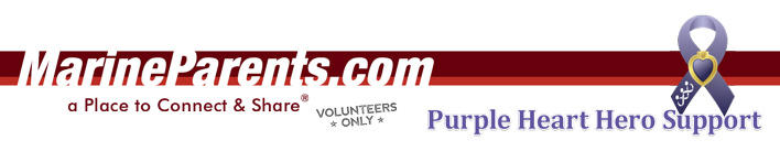 Purple Heart Hero Support Volunteer Newsletter Banner