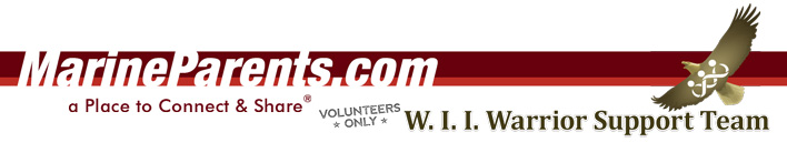 W. I. I. Warrior Support Team Volunteer Newsletter Banner