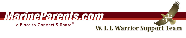 W. I. I. Warrior Support Team Newsletter Banner