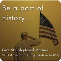 Flag Campaign slides
