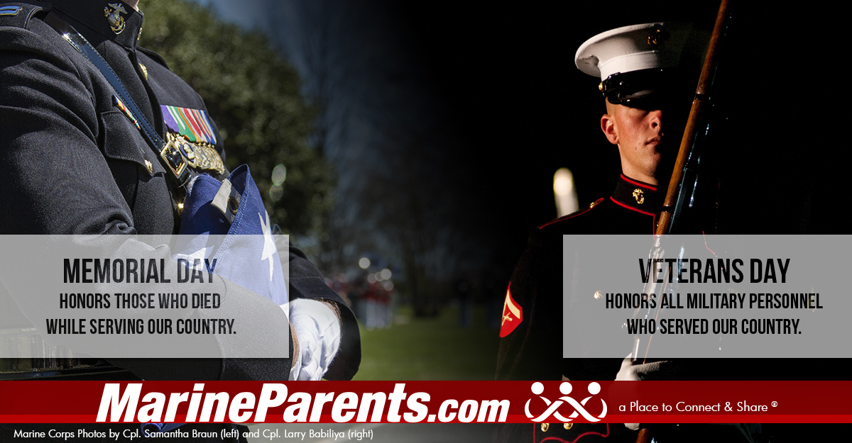 Memorial Day and Veterans Day