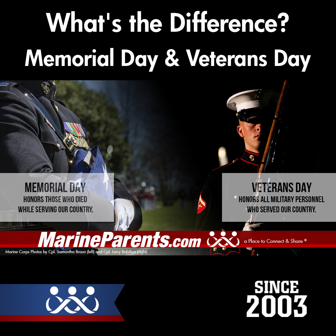 Memorial Day, Veterans Day, and Armed Forces Day