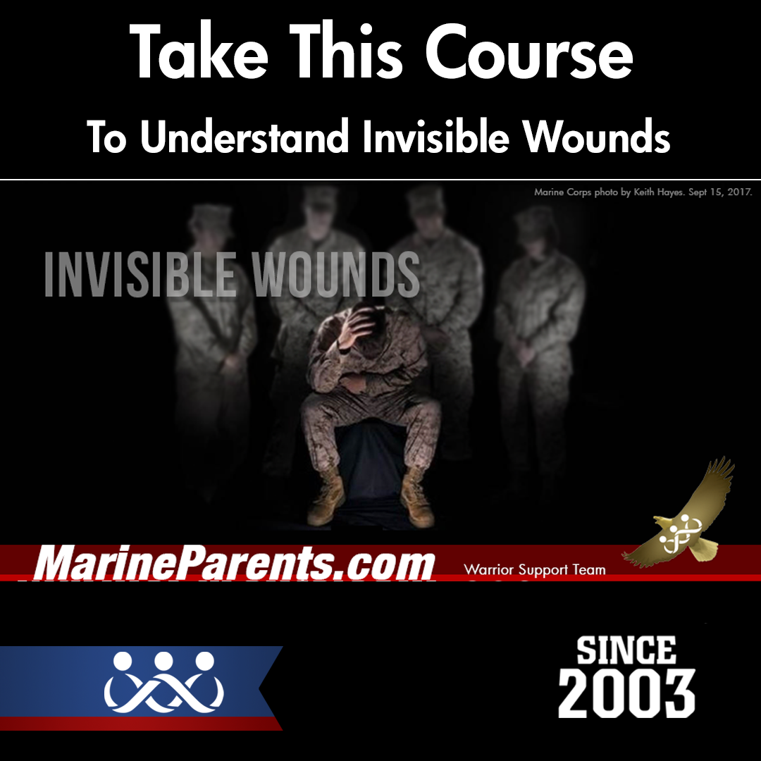 Warrior Support Team: Invisible Wounds