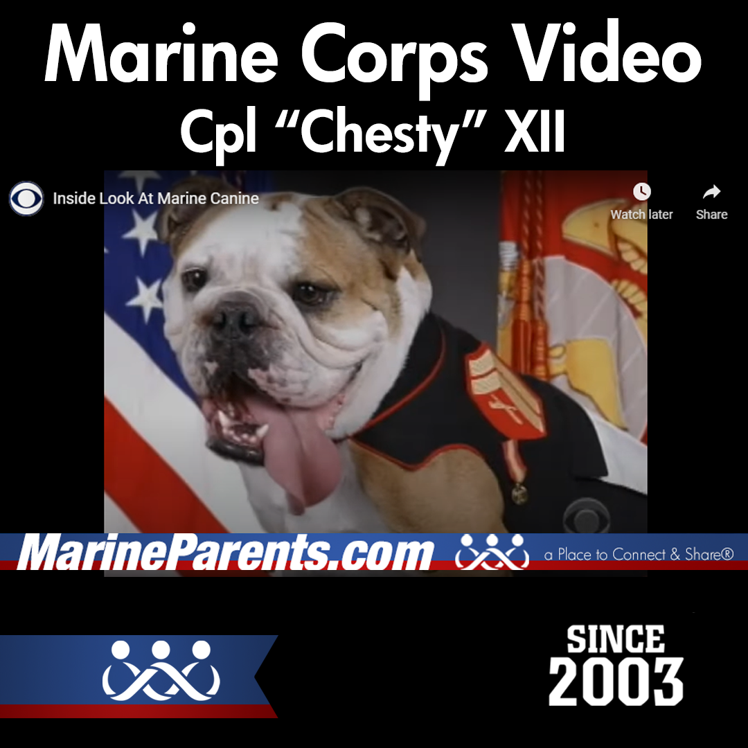 Marine Corps Video