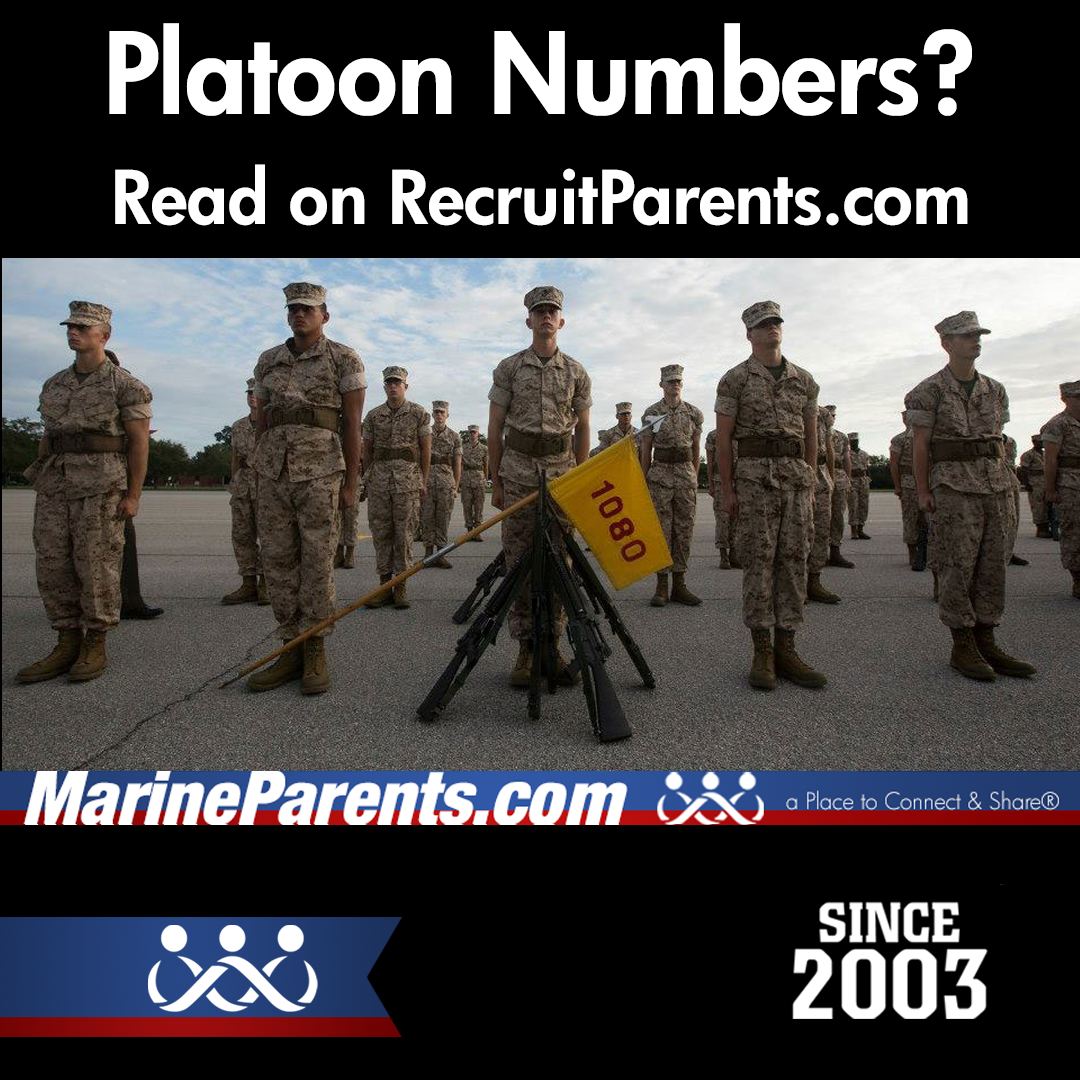 When Will I Know My Recruit's Platoon Number?
