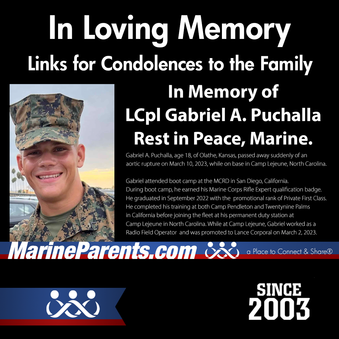 In Memory LCpl. Gabriel A. Puchalla