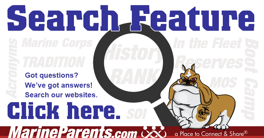 search2.png