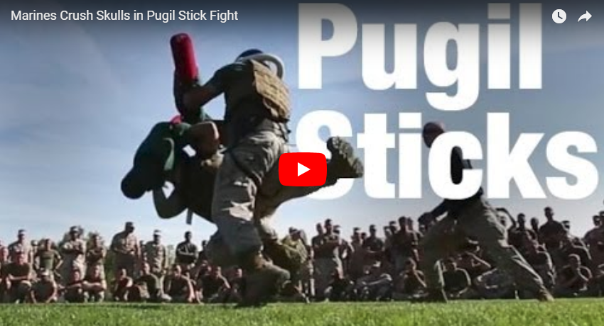 Pugil stick training