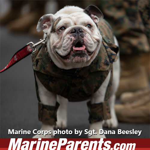 Weather at MCRD Parris Island Recruit Training Boot Camp Marine Corps